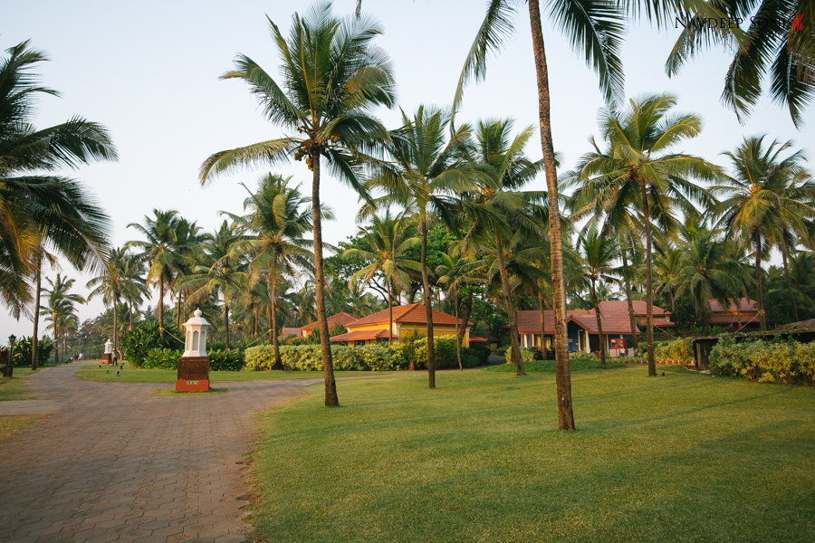 Destination-Wedding-Taj-Vivanta-Goa-001