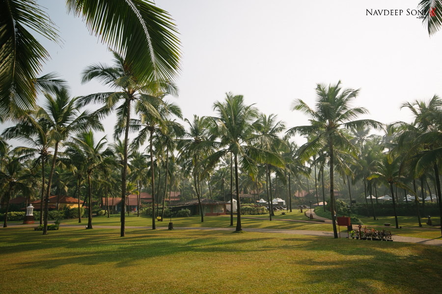 Destination-Wedding-Taj-Vivanta-Goa-002