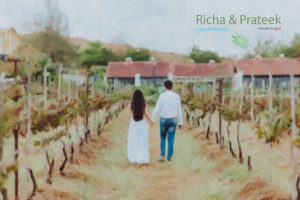 Pre-Wedding Couple Shoot - Sula Vineyard